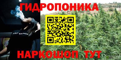 ALPHA PVP Лесосибирск