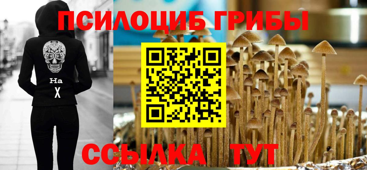 Галлюциногенные грибы Psilocybe  Галлюциногенные грибы GOLDEN TEACHER  Вход с VPN  Дзержинск 
